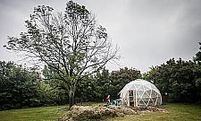 Szklarnia na Bródnie. "Wystawa obejmie całe osiedle"