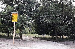 Co budują obok Czajki? "Z myślą o mieszkańcach"