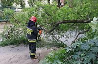 Drzewo przygniot�o m�czyzn� id�cego z dzieckiem