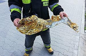 15 strażaków kontra... balonik. "Doszło do zwarcia"