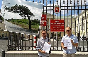 Na ratunek sośnie. "Przesuńcie przejście, na litość!"