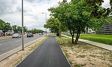 Czarny asfalt na Jelonkach. Szczęśliwi rowerzyści