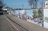 18 milionów na stragany z pietruszką