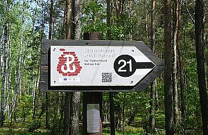 Wycieczki wokół Legionowa: turystyczny szlak śladem historii