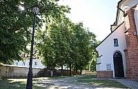 Startują plenerowe koncerty pod starymi lipami