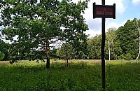 Rezerwat w mieście: Kalinowa Łąka. Jakie zwierzę pozuje do zdjęcia?