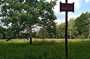 Rezerwat w mieście: Kalinowa Łąka. Jakie zwierzę pozuje do zdjęcia?