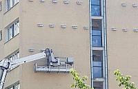 Osiedle dla ptasich rodzin. "Komary mniej gryzą"