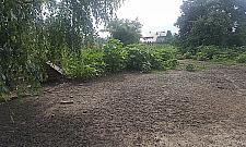 Niebezpieczne dokarmianie dzików. Apel leśników