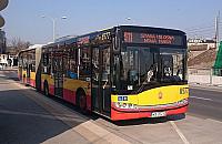 Komiczna wpadka ZTM. "Wycięliśmy dorodne drzewa"