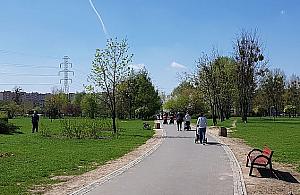 Tysiąc osób za remontem parku. Jak głosowało Bemowo?