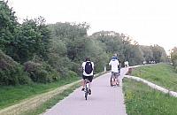 Spory na wale. "Wariaci nie liczą się ze spacerowiczami"