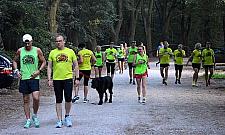 Las Młociński z nowymi ścieżkami dla biegaczy