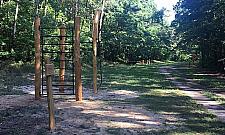 Las Młociński z nowymi ścieżkami dla biegaczy