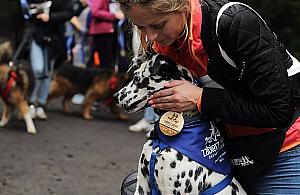 Zabierz PIESia do Międzylesia. Wyjątkowa impreza w Wawrze
