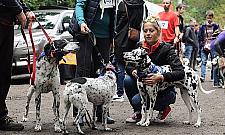 Zabierz PIESia do Międzylesia. Wyjątkowa impreza w Wawrze