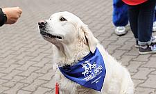 Zabierz PIESia do Międzylesia. Wyjątkowa impreza w Wawrze