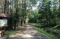 Dla biegaczy i rowerzyst�w. Nowa, malownicza trasa