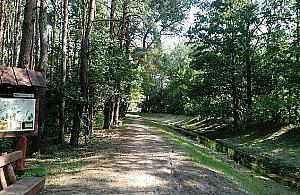 Dla biegaczy i rowerzystów. Nowa, malownicza trasa