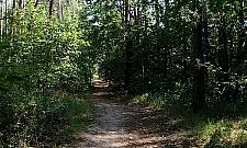 Dla biegaczy i rowerzystów. Nowa, malownicza trasa