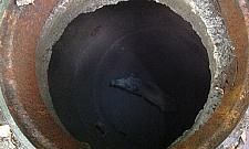 Akcja ratunkowa w Wawrze. Mały dzik w studzience