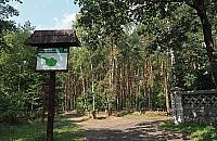 Nowy park leśny. Hitem dwumetrowy hotel dla owadów