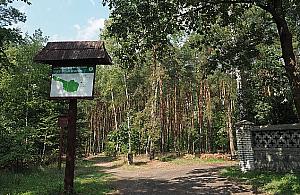 Nowy park leśny. Hitem dwumetrowy hotel dla owadów