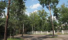 Nowy park leśny. Hitem dwumetrowy hotel dla owadów