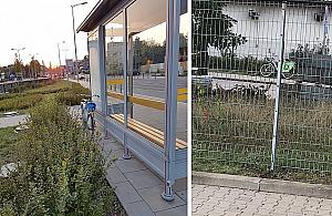 Veturilo w Wawrze. "Chyba nie wszyscy są gotowi"