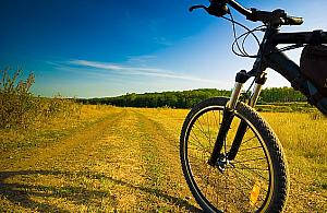 Za darmo na Białołęce. Wycieczki rowerowe z przewodnikiem