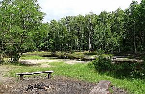 Uratują Czarny Staw. "Ulubione miejsce mojego dzieciństwa"