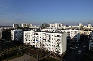 Pluskwy atakują. Mieszkańcy bloków muszą zrobić porządki