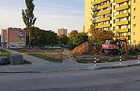 Wielka metamorfoza "Pekinu". "Chcieli wyci�� 90 drzew"