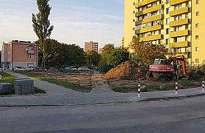 Wielka metamorfoza "Pekinu". "Chcieli wyciąć 90 drzew"