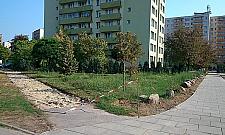 Wielka metamorfoza "Pekinu". "Chcieli wyciąć 90 drzew"