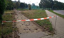 Wielka metamorfoza "Pekinu". "Chcieli wyciąć 90 drzew"