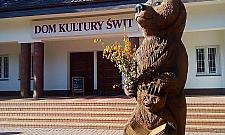 Był dąb, jest miś. "Nasz pracownik ledwo uszedł z życiem"