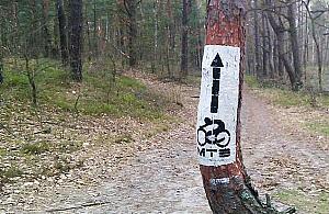 Leśny raj dla rowerzystów. W niedzielę otwarcie