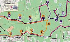 Leśny raj dla rowerzystów. W niedzielę otwarcie