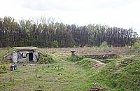 Bloki na leśnej polanie? "Do tego prowadzi demagogia"