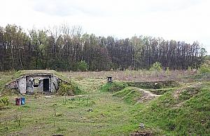 Bloki na leśnej polanie? "Do tego prowadzi demagogia"