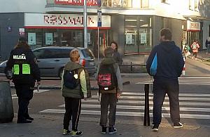 Straż miejska czuwa przy pasach. "Piesi chowają smartfony"