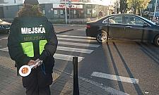 Straż miejska czuwa przy pasach. "Piesi chowają smartfony"