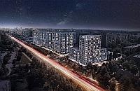 Stella coraz większa. "92% mieszkań sprzedanych"