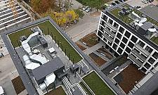 Stella coraz większa. "92% mieszkań sprzedanych"