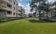 Spłacają kredyt a muszą wynajmować. "Przez dewelopera nie mamy gdzie mieszkać"