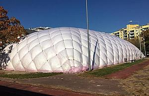 Balony przykryły Bielany. "Przeżywają prawdziwe oblężenie"