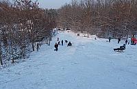 Zimowe centrum rozrywki? Górka Delmacha podbiła serca dzieci