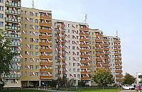 Bródno świętuje. Setki polskich flag w oknach