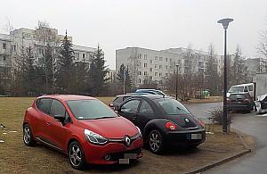 Jak odzyskać trawniki? Tysiące interwencji straży miejskiej